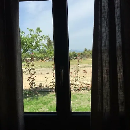 Vila Maison Corse *